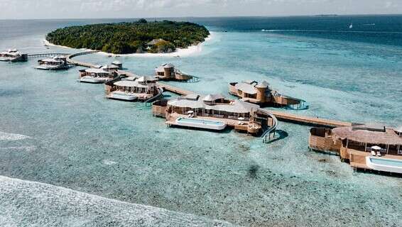 גן עדן // צילום: אור זאנו